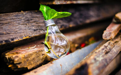 ADAPT, ADOPT OR CEASE TO EXIST: The Obligation of Young People to Development