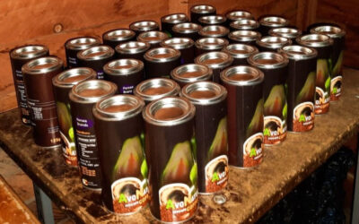 Persea Brands Soft Launches Their Avocado Coffee – AvoNaturo!